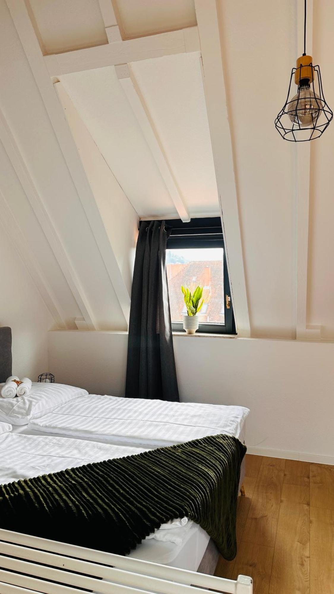 Amao-Green I 90Qm I Penthouse Maisonette Mit Rooftop I City Center I King-Size Betten Lahr/Schwarzwald Extérieur photo